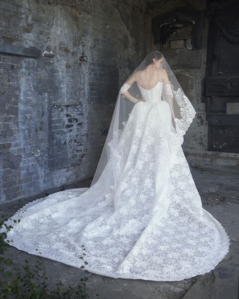 Marie Antoinette Dress