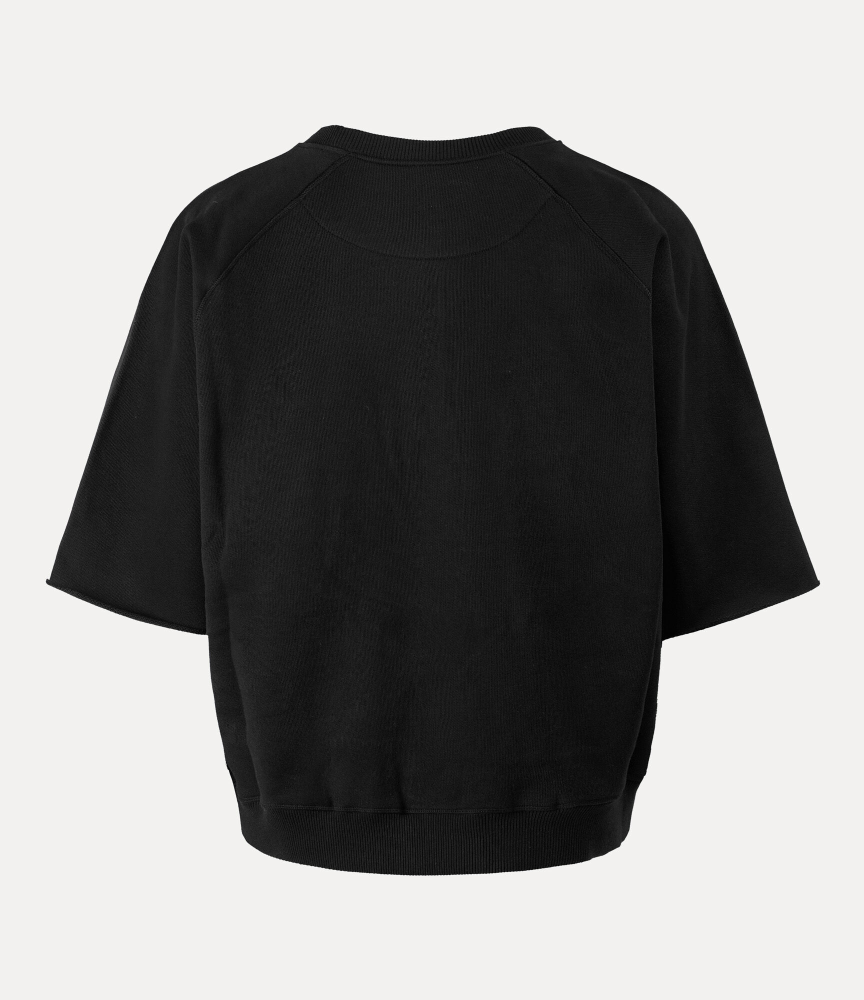 Short Sleeve Raglan Sweatshirt  large image number 5